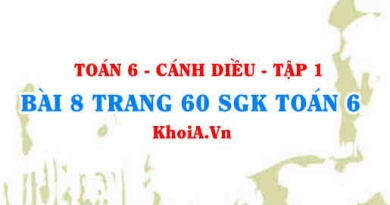 Bài 8 trang 60 SGK Toán 6 tập 1 Cánh Diều